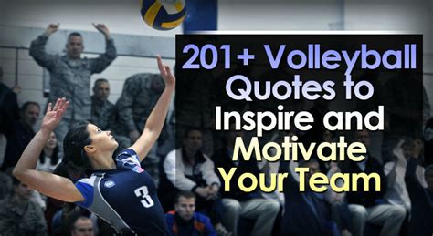 201+ Volleyball Quotes to Inspire and Motivate Your Team.